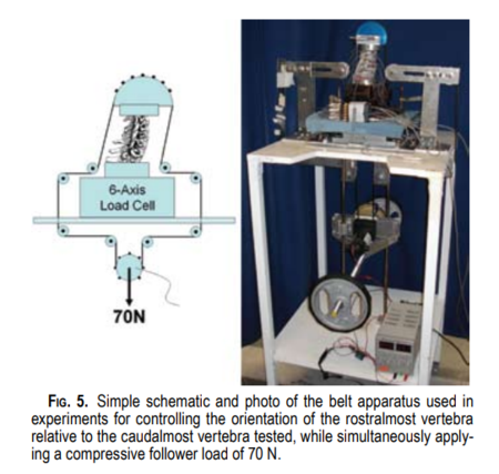 Crawford, et al. Biomechanics of a posture-controlling cervical artificial disc: mechanical, in vitro, and finite-element analysis. Neruosurg Focus 28 (6): E11, 2010.